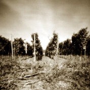 remembrance